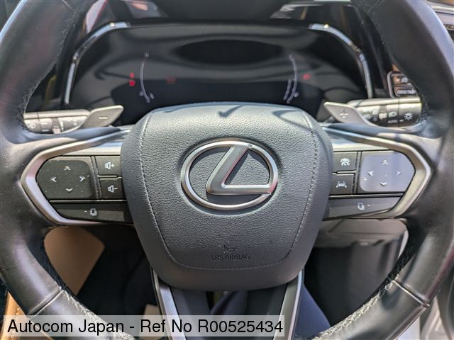 
								Lexus  NX350H full									